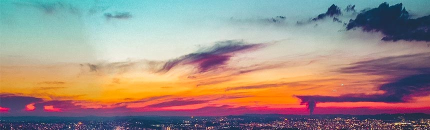 宁津茶虫网_宁津品茶